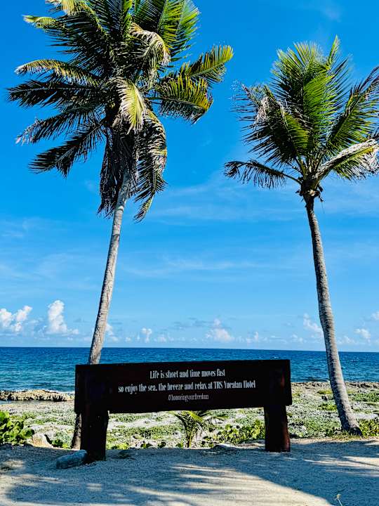 Pool TRS Yucatan Hotel - Adults only