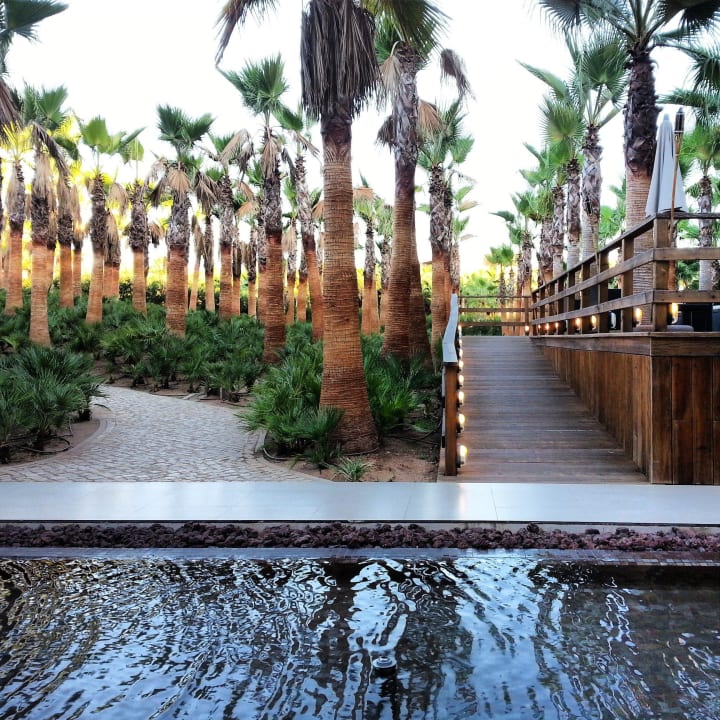 Frühstück The Westin Salgados Beach Resort, Algarve