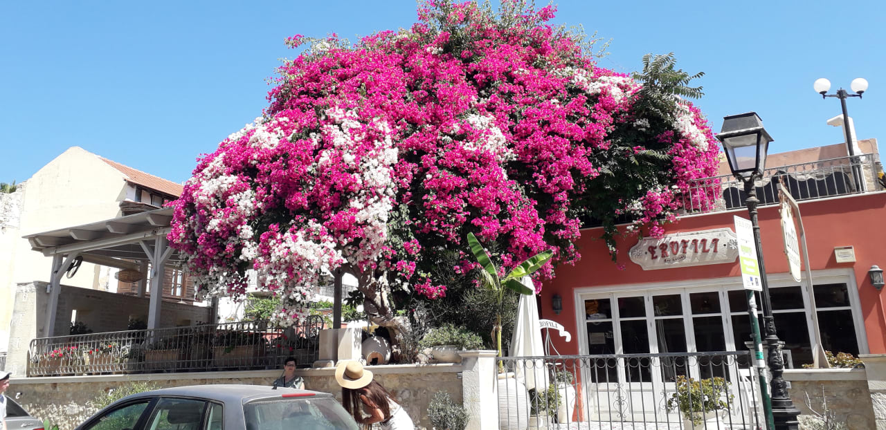 Außenansicht Hotel Kathrin Beach