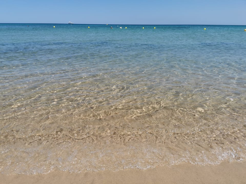 Strand Hotel Royal Nozha