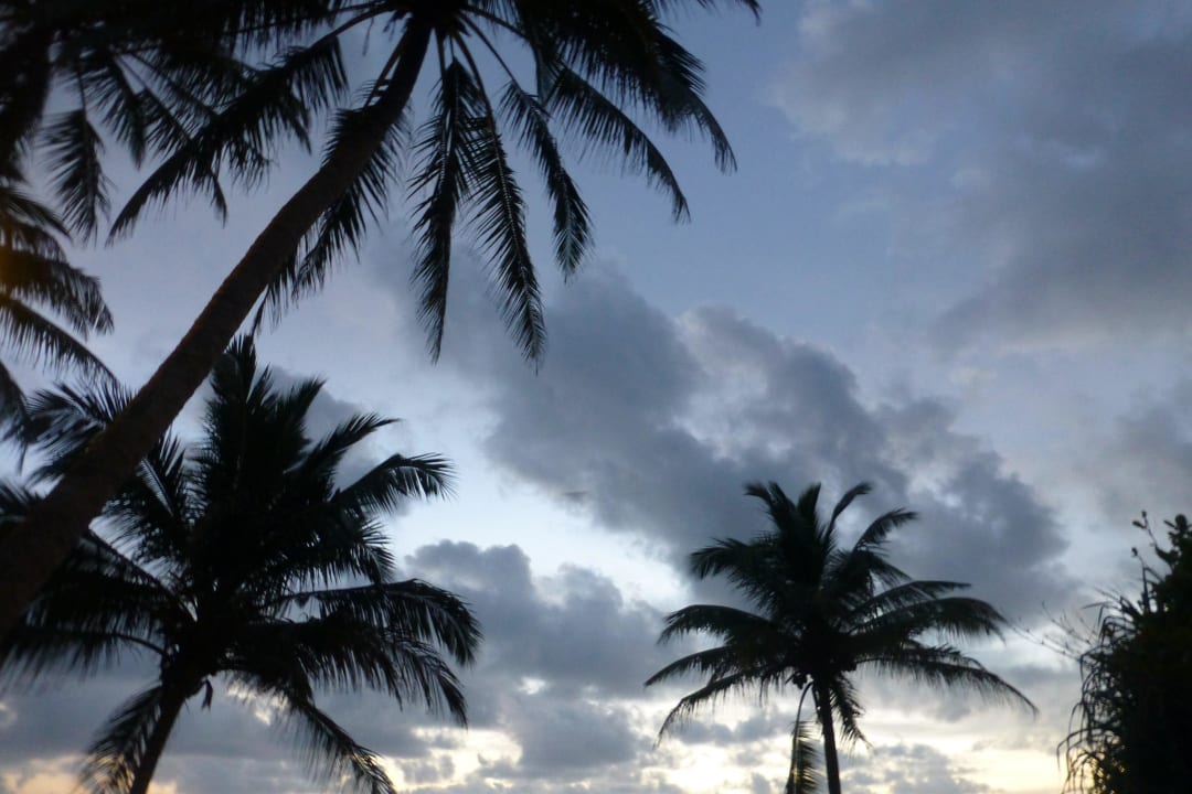 Blick von den Liegen im Garten Thaala Bentota