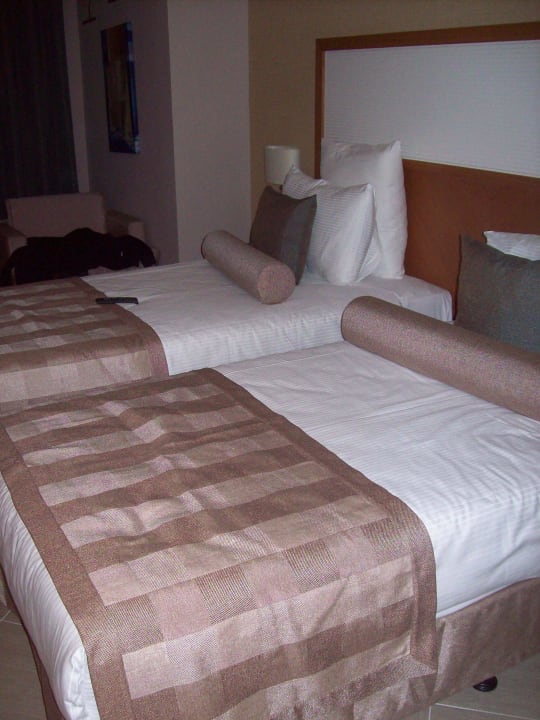 Bett Paloma Oceana