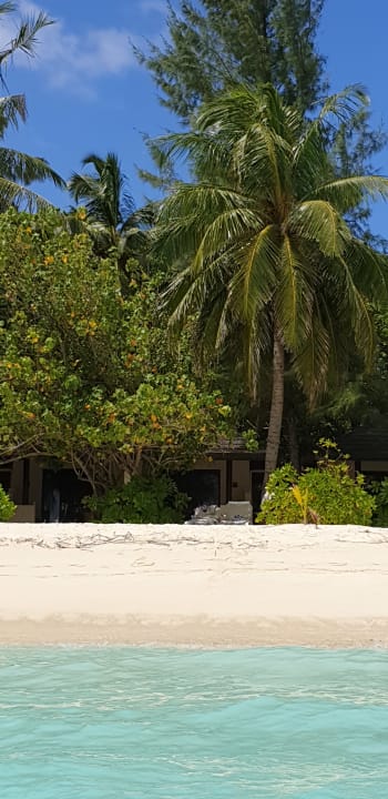 Strand Summer Island Maldives