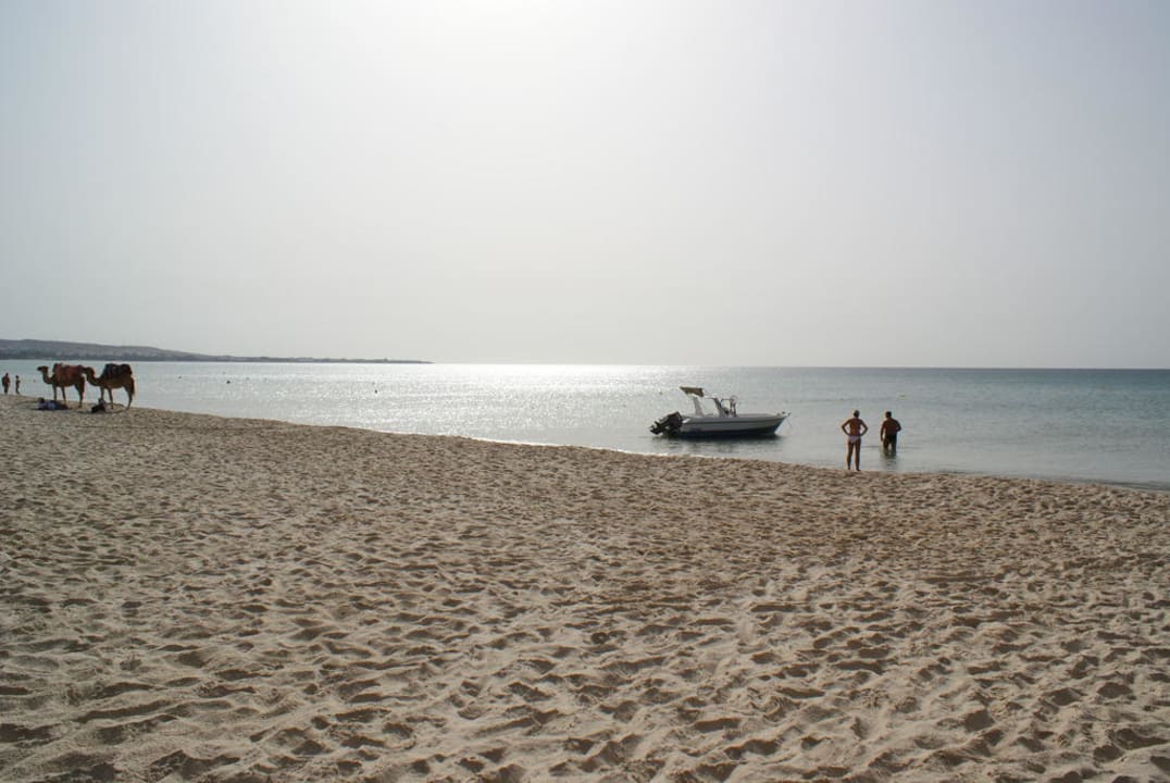 De prachtige zee Hotel Paradis Palace