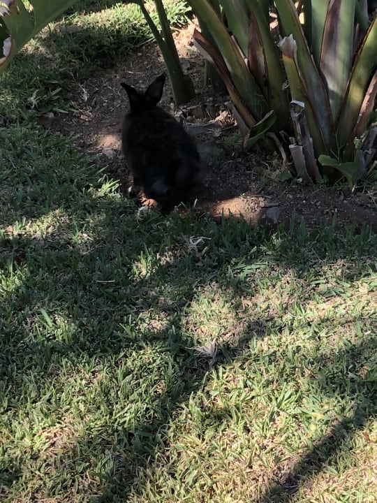 Sonstiges HL Miraflor Suites Hotel