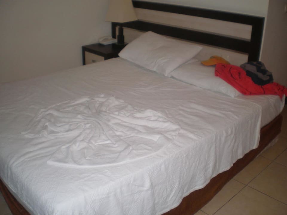 Großes Doppelbett Hotel Orfeus Park