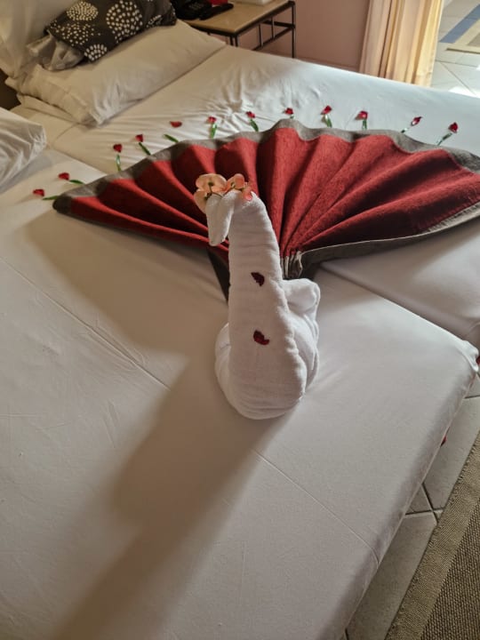 Zimmer Jaz Makadi Oasis Resort