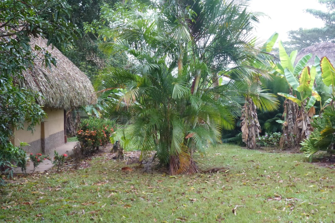 Unterwegs in Venezuela Hotel Orinoco Delta Lodge