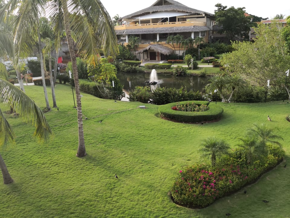 Gartenanlage Hotel Viva Dominicus Palace by Wyndham-All Inclusive Resort