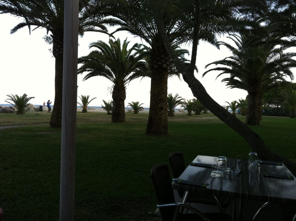 Restaurant Marina d'Erba Rossa