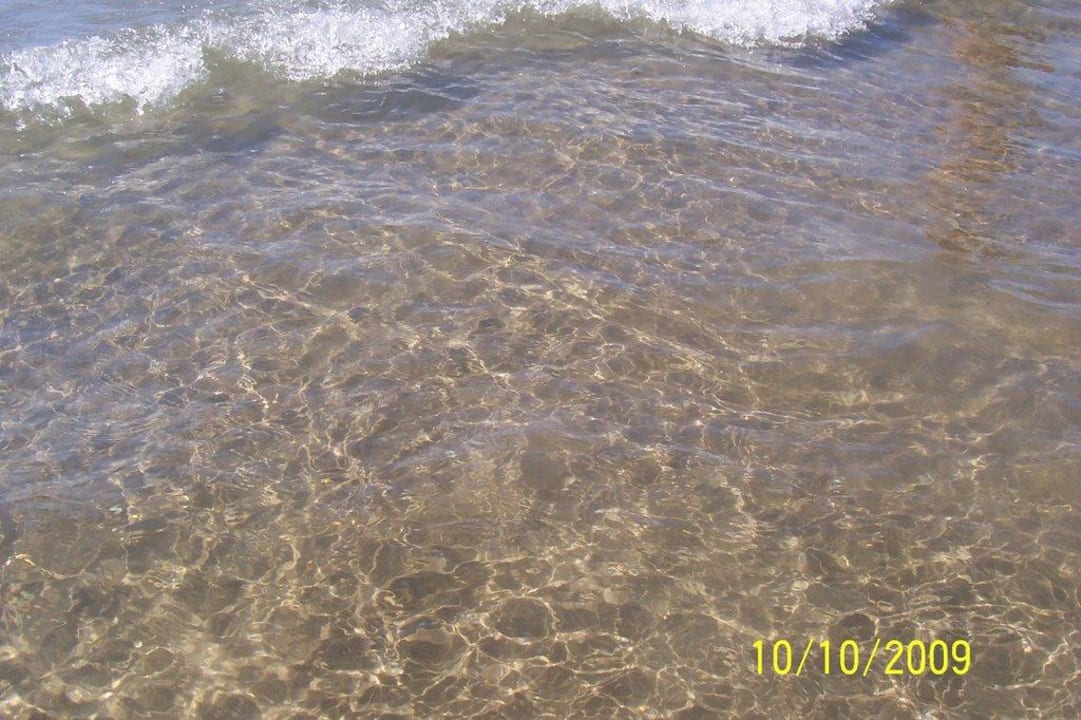 Klares Meer Side Alegria Hotel & Spa - Adults only +16