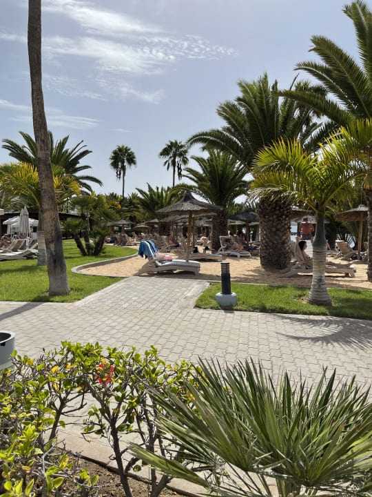 Gartenanlage Hotel Riu Palace Tenerife