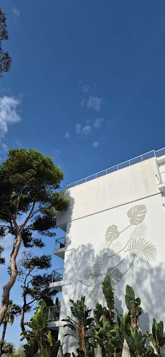 Pool Hotel Riu Concordia