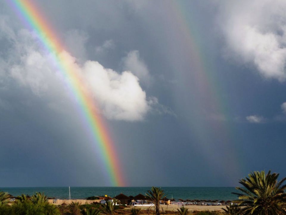 Blick vom Balkon Iberostar Waves Mehari Djerba