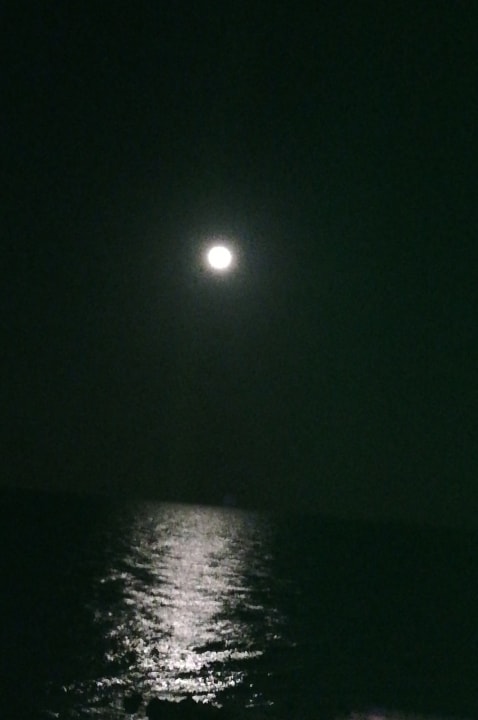 Ausblick Pickalbatros Citadel Resort