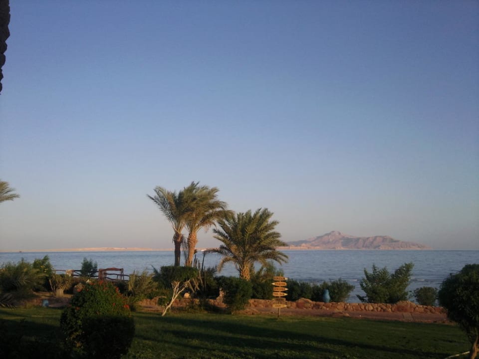 Blick aus dem Zimmer  Hotel Hauza Beach Resort