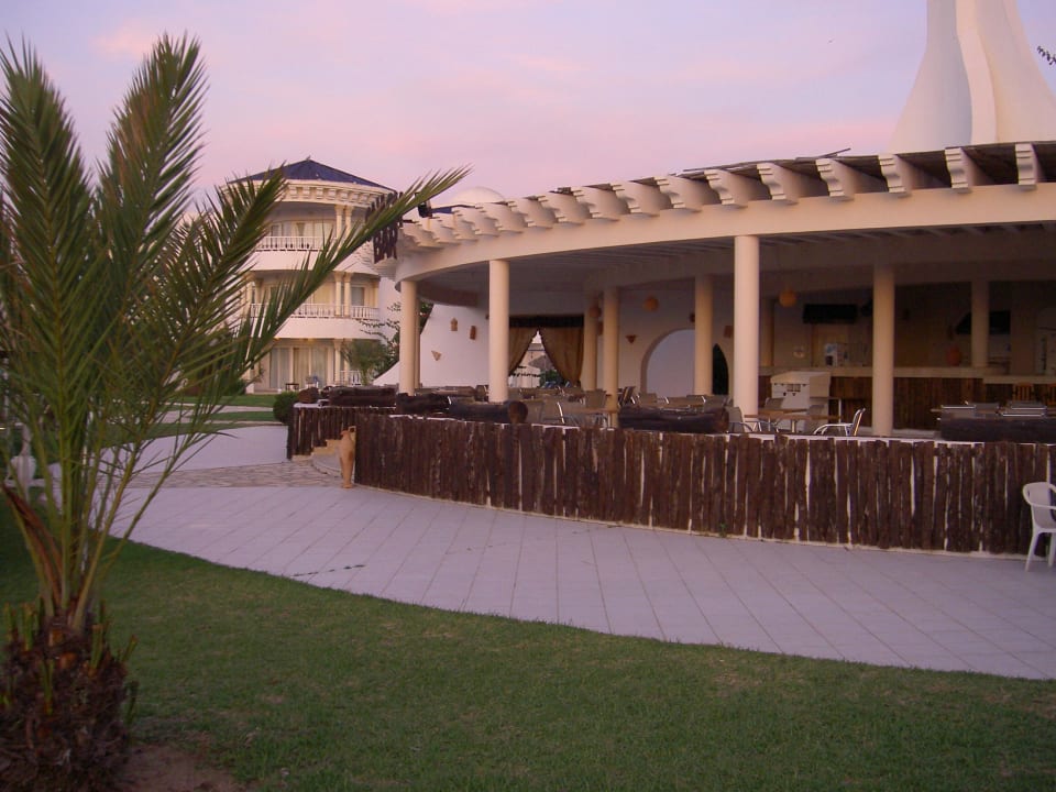 Essen und Trinken  Royal Tulip Taj Sultan