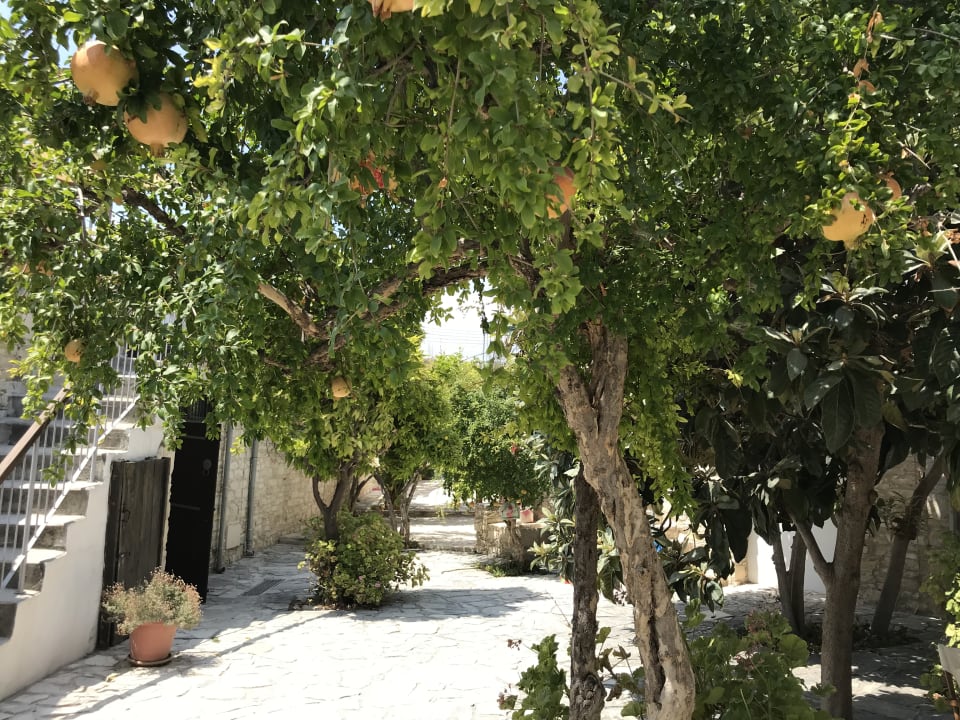 Außenansicht Hotel Traditional Village Houses