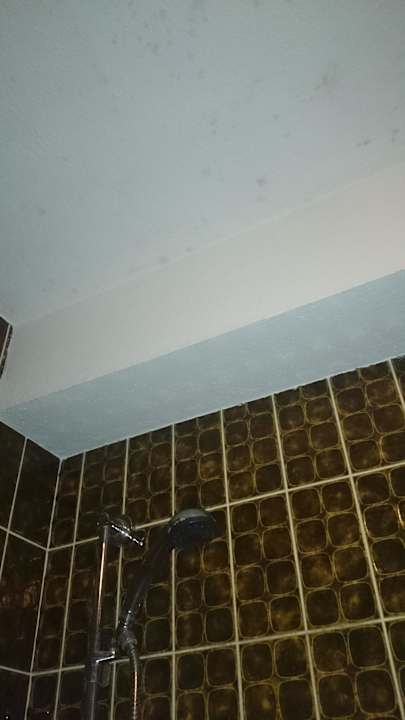 Schimmel Decke Bad Gasthof-Hotel Krone