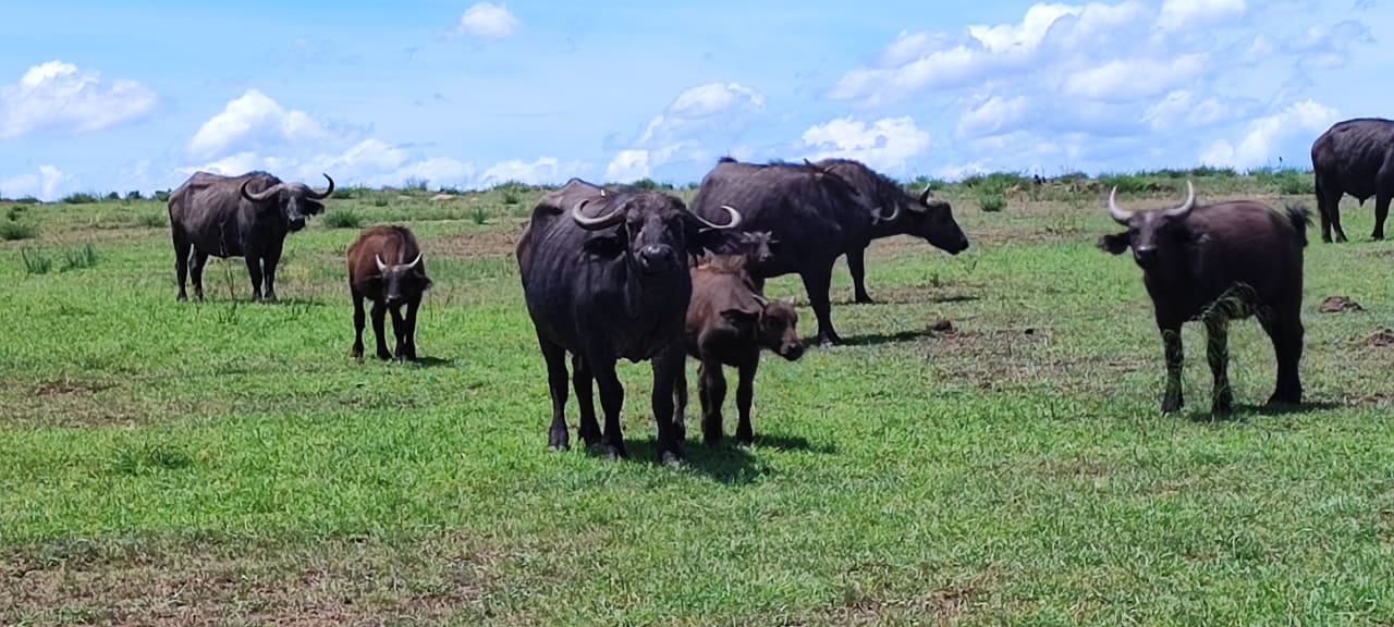 Sport & Freizeit Neptune Paradise Beach Resort & Spa