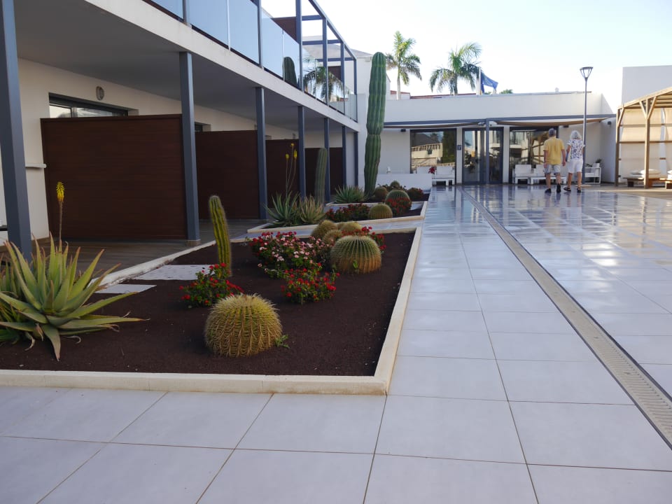 Sonstiges H10 Ocean Dreams - Adults only