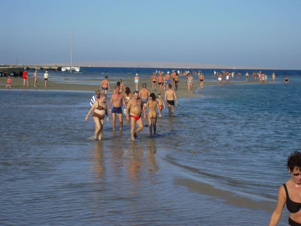 Strandwanderung bei Ebbe Pickalbatros Dana Beach Resort - Hurghada
