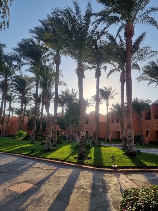 Gartenanlage Jaz Makadi Oasis Resort