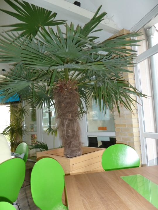 Gemütlich Hunguest Bük