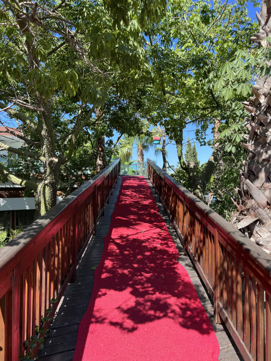 Gartenanlage Dream World Aqua Hotel