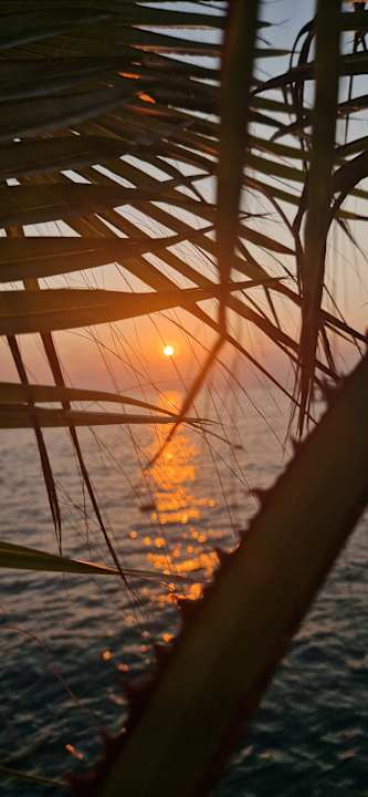 Strand Hotel Botanik Platinum