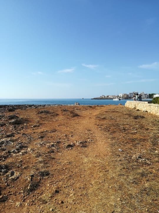 Außenansicht Hotel Palia Sa Coma Playa