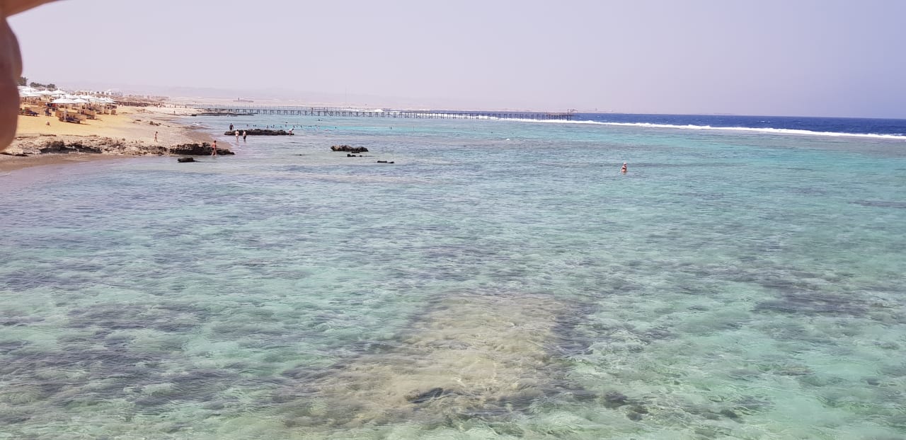 Strand Pickalbatros Sea World Resort - Marsa Alam