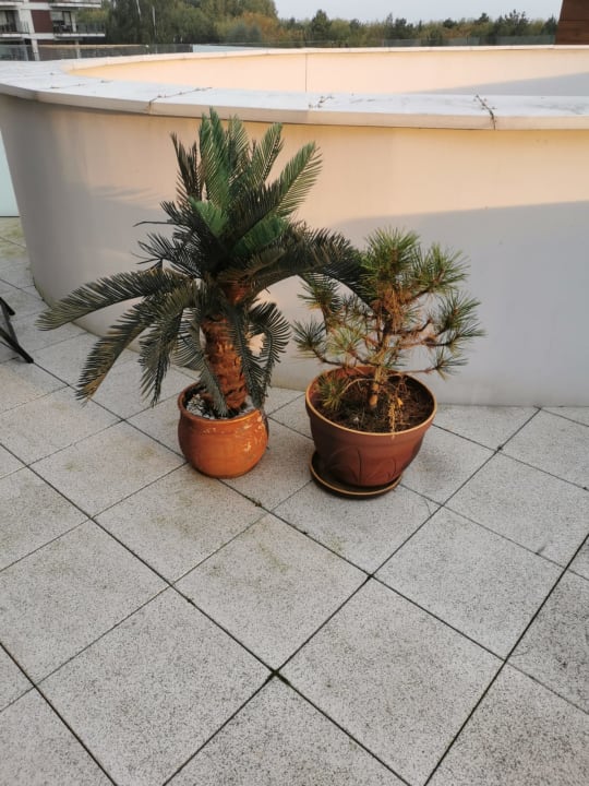 Außenansicht Baltic Park Molo Apartmens