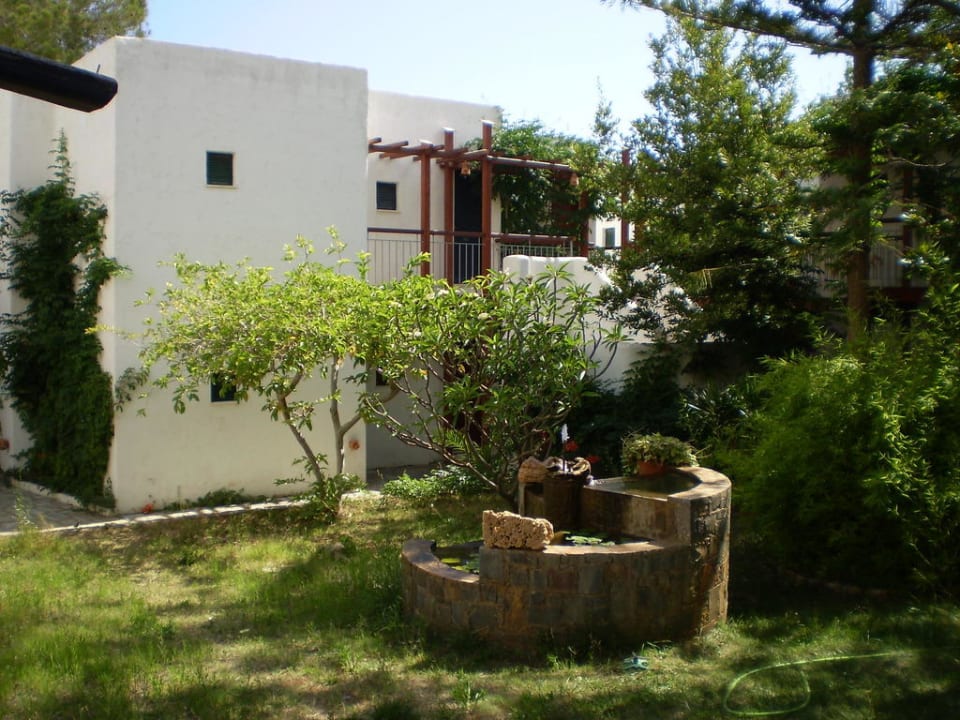 The garden Kalypso Hotel