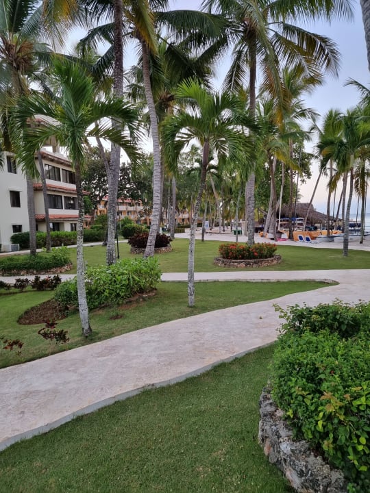 Gartenanlage Hotel Viva Dominicus Beach by Wyndham - All Inclusive Resort
