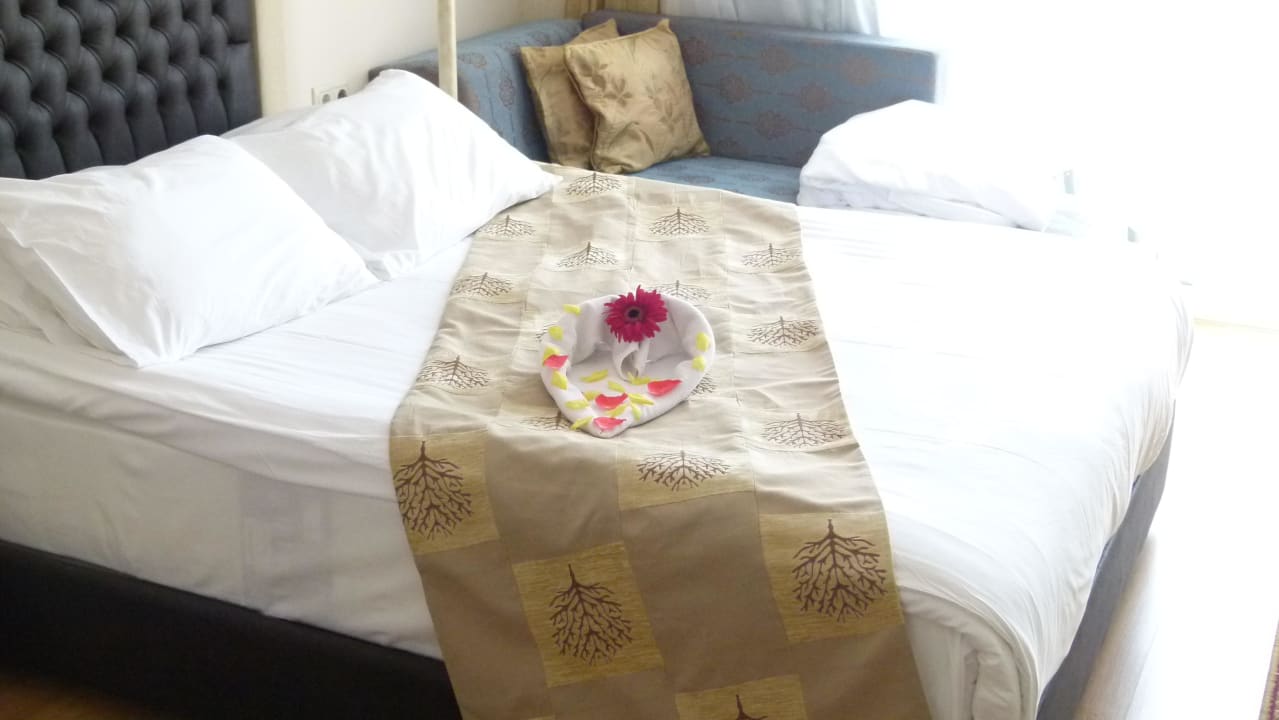 Effekt des Trinkgeldes für das Zimmermädchen  Hotel Delphin Diva