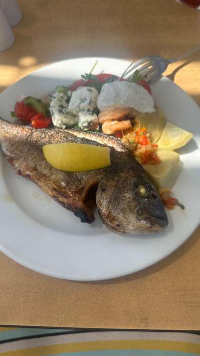 Gastro TUI BLUE Palm Garden