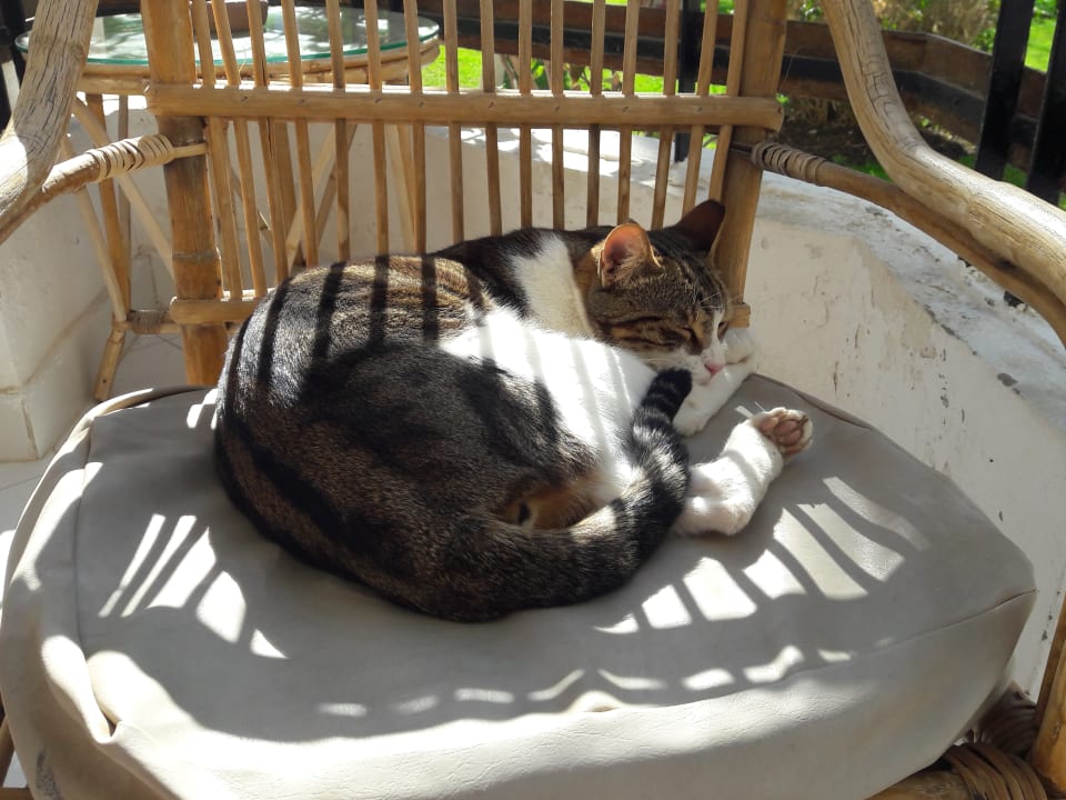 Sonstiges The Grand Hotel Hurghada