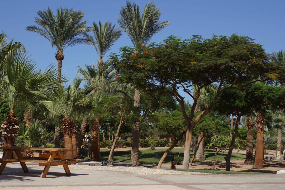 Gartenanlage Steigenberger ALDAU Beach Hotel