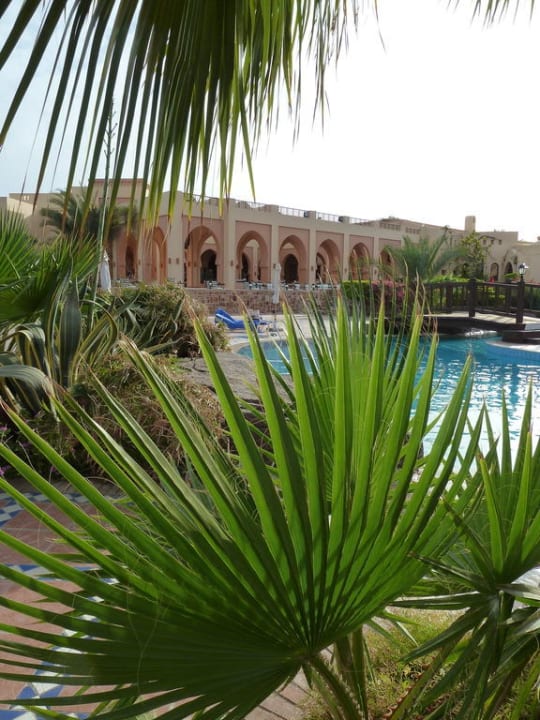 Pool mit vielen Pflanzen Steigenberger Coraya Beach - Adults only