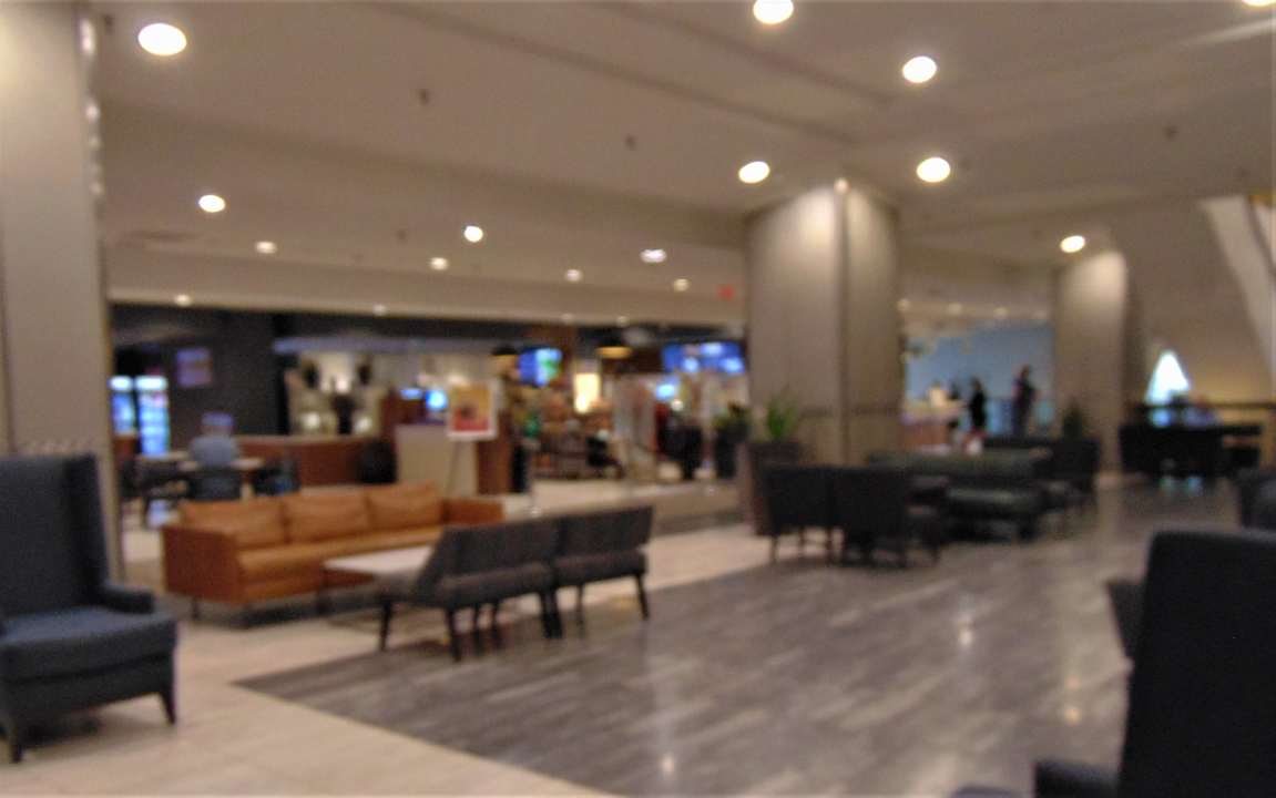 Lobby Hotel Hilton Atlanta
