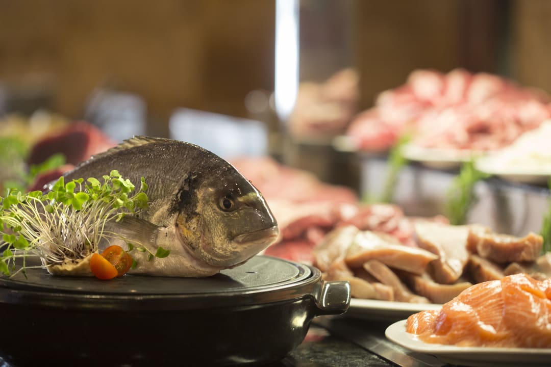 Gastro Hipotels Hipocampo Palace & Spa