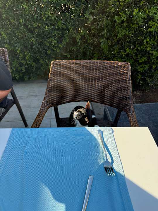 Gastro Terrace Elite Resort