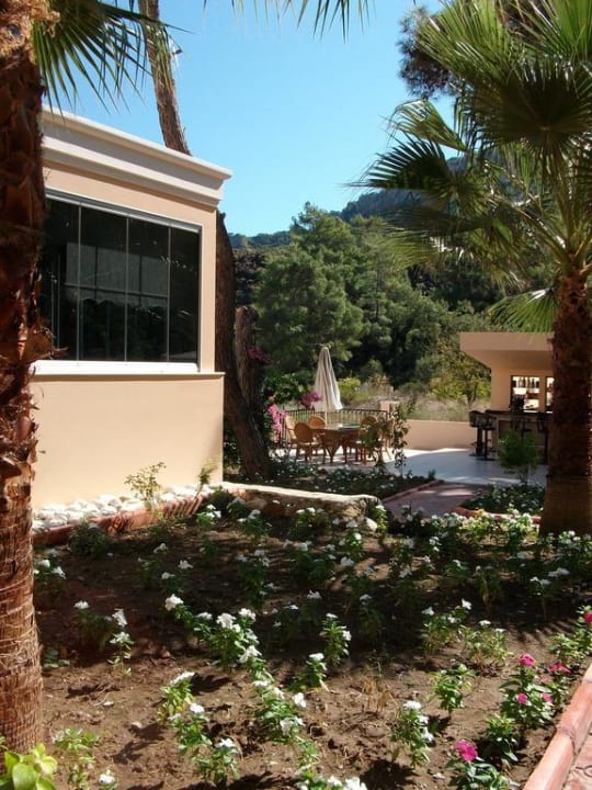 Ein kleines Stückchen vom Garten Hotel Forest Park