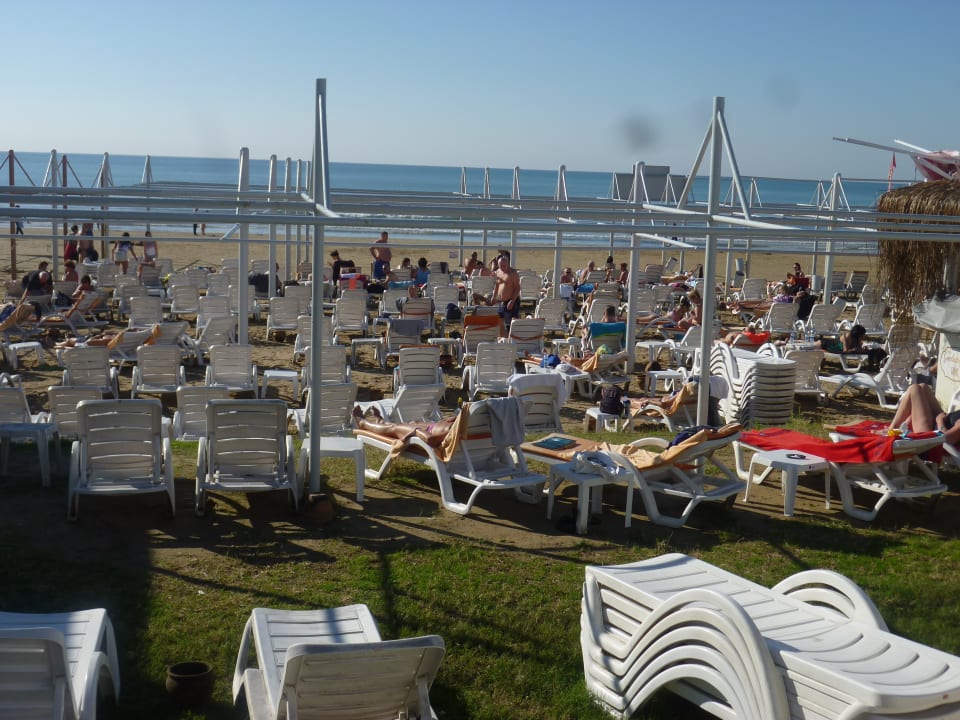 Strand Side Alegria Hotel & Spa - Adults only +16