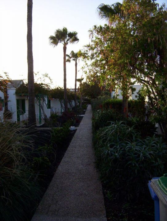 Reihenhäuserähnliche Studios / Gartenanlage Hotel Hyde Park Lane