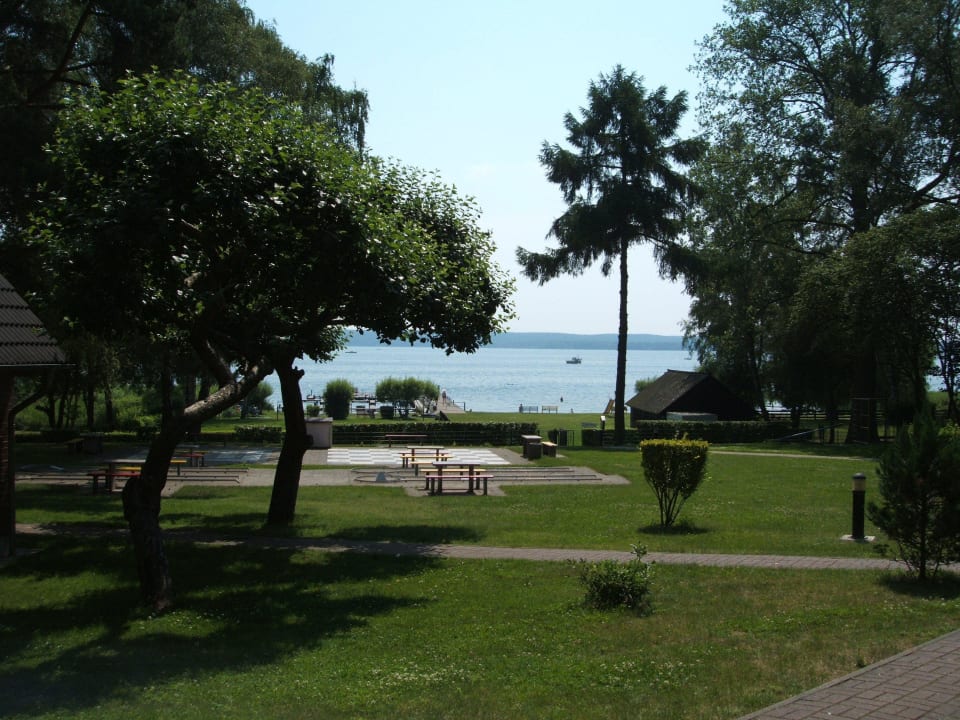 Aussicht der Ferienhäuserdirekt am See Ferienpark Heidenholz