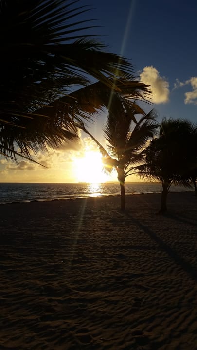 Ausblick Villas Bavaro Resort & Spa
