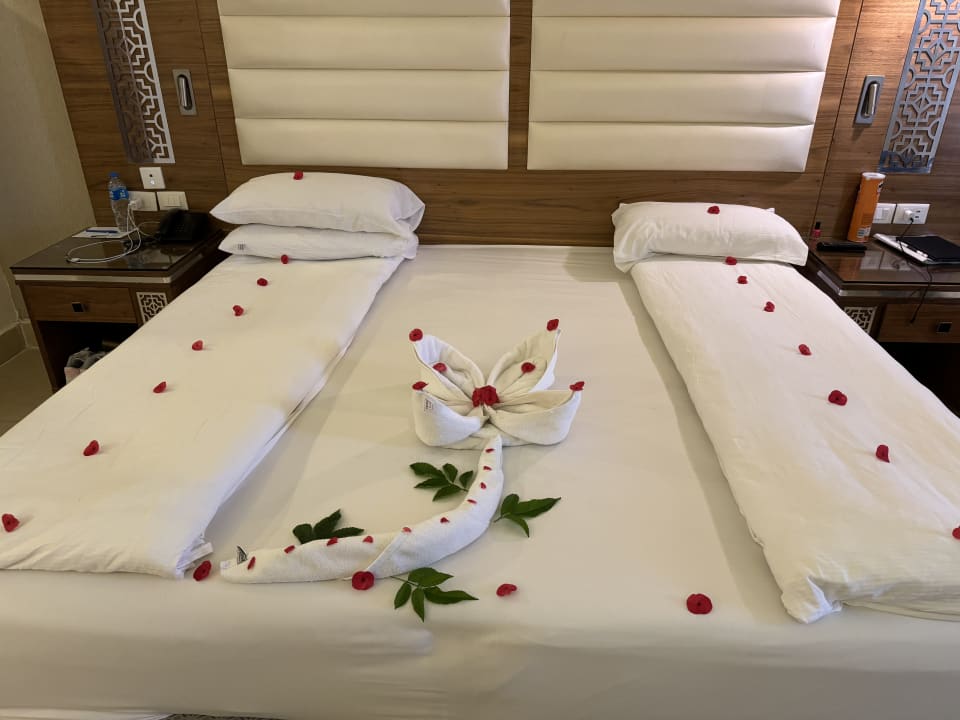 Zimmer Pickalbatros Sea World Resort - Marsa Alam