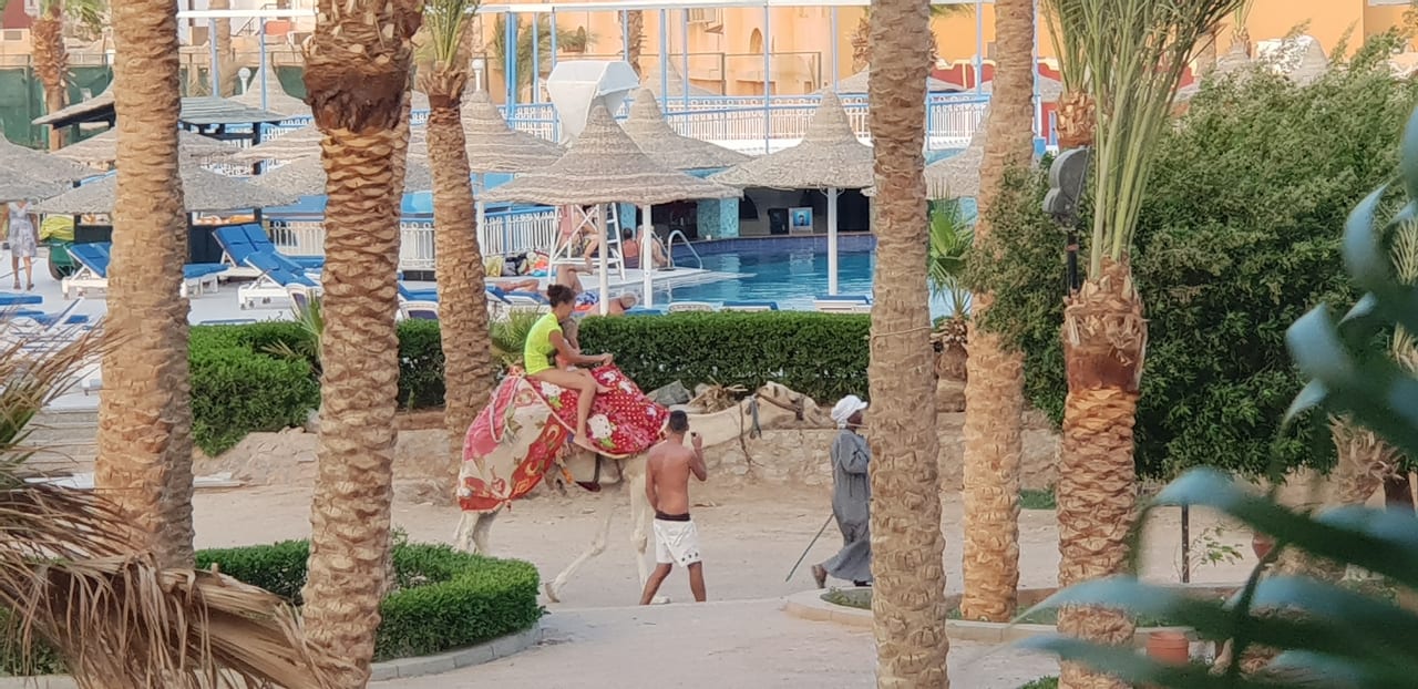 Sonstiges Giftun Azur Resort